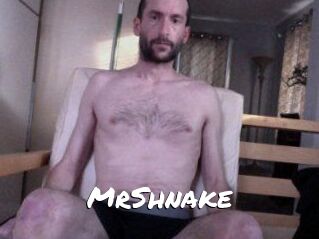 MrShnake