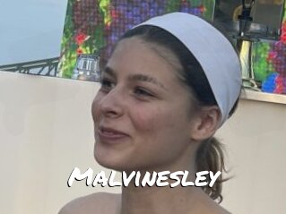 Malvinesley