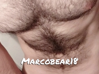 Marcobear18