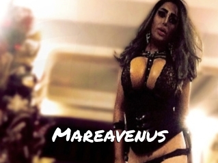 Mareavenus