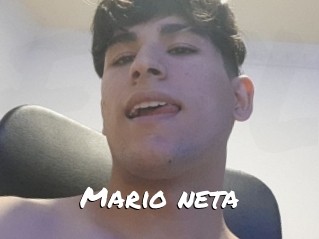 Mario_neta
