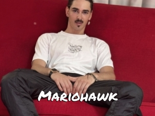 Mariohawk