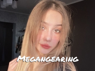 Megangearing