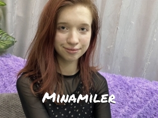 Minamiler