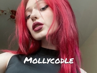 Mollycodle