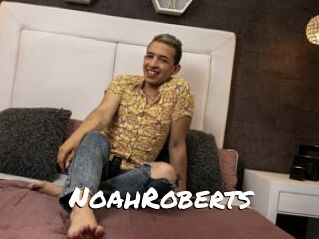 NoahRoberts