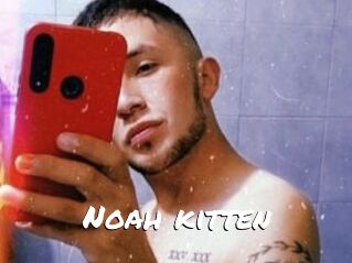 Noah_kitten