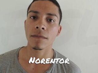 Noren_tor