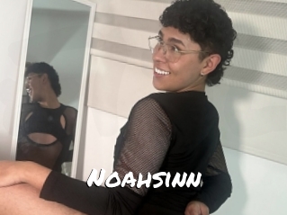 Noahsinn