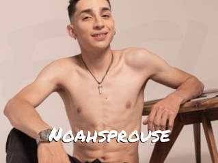 Noahsprouse