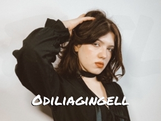 Odiliagingell