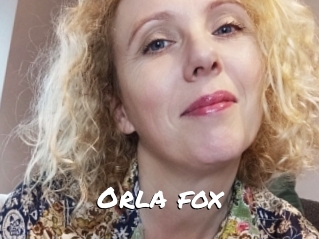 Orla_fox
