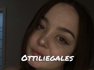 Ottiliegales