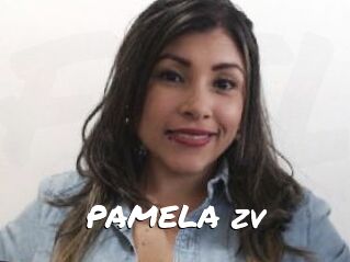 PAMELA_zv