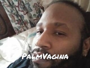 PalmVagina