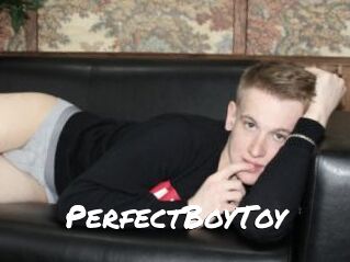 PerfectBoyToy