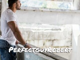 PerfectguyRobert