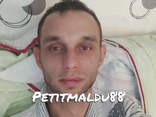 Petitmaldu88
