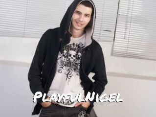 PlayfulNigel
