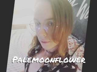 Palemoonflower