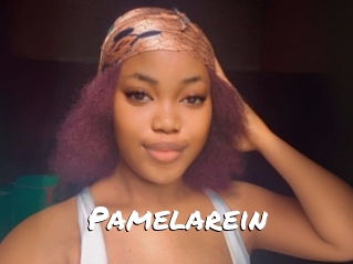 Pamelarein