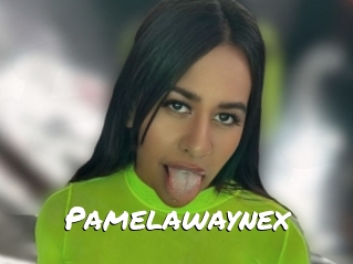 Pamelawaynex