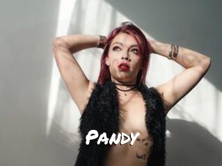 Pandy