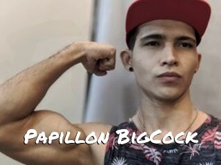 Papillon_BigCock