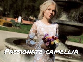 Passionate_camellia