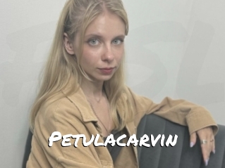 Petulacarvin