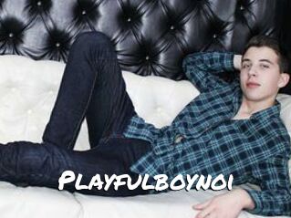 Playfulboynoi