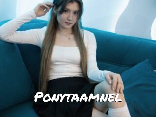 Ponytaamnel