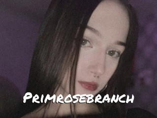 Primrosebranch