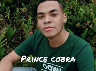 Prince_cobra