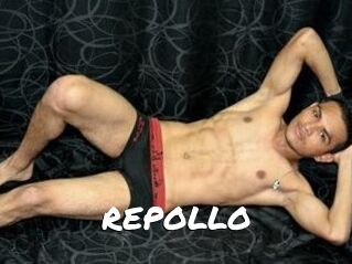 REPOLLO