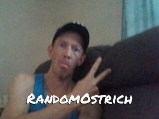 RandomOstrich