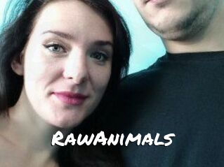 RawAnimals