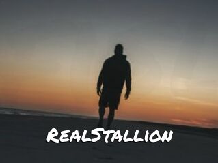 RealStallion