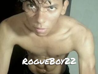 RogueBoy22