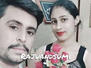 Rajuandsumi