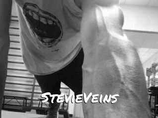 StevieVeins