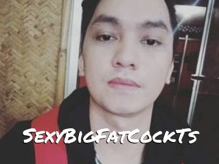 _SexyBigFatCockTs_