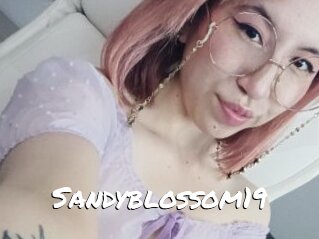 Sandyblossom19