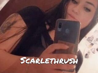 Scarlethrush