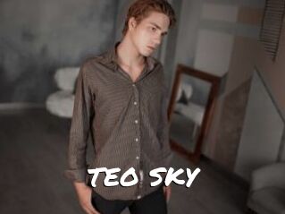 TEO_SKY