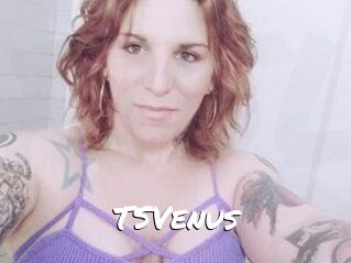 TS_Venus