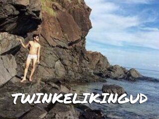 TWINKELIKINGUD