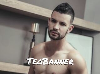 TeoBanner