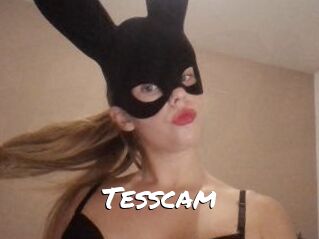 Tesscam