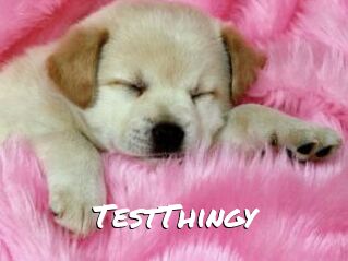 TestThingy